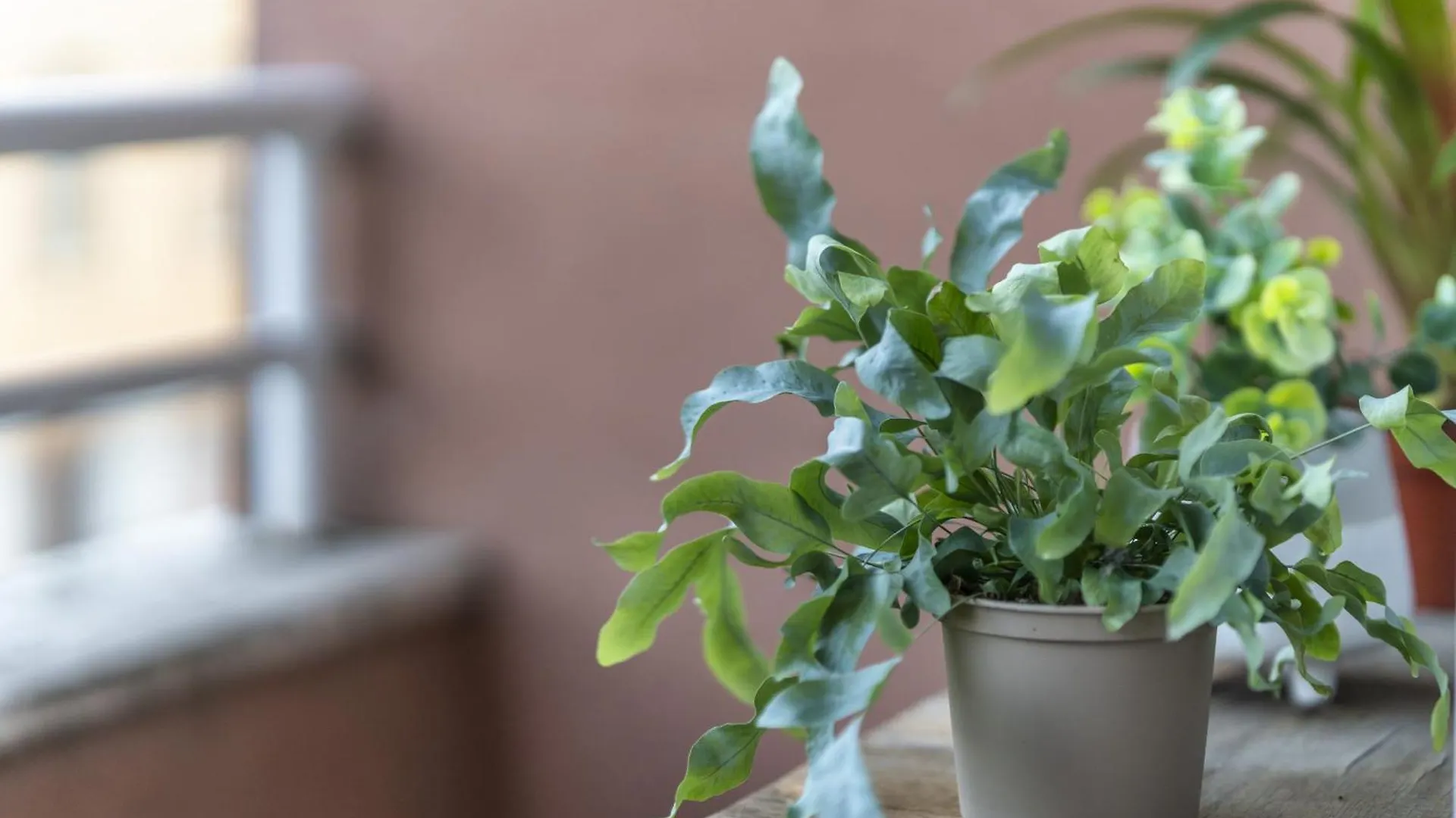 Duomo-Bicocca - Cozy Apartment Milan Italy
